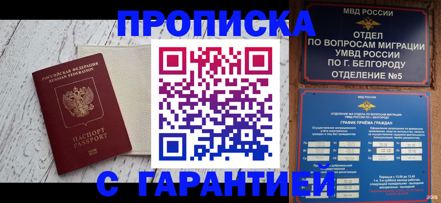 временная регистрация надежно в Гатчине